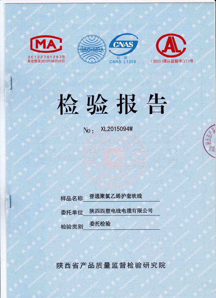 RVV检验报告